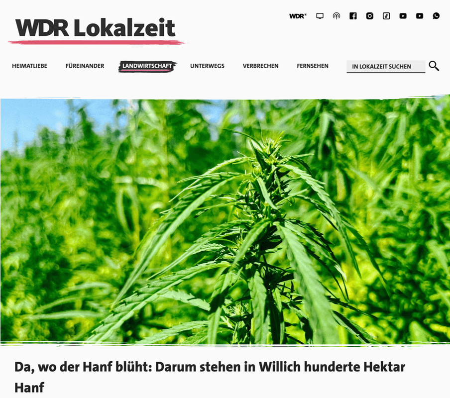 Screenshot WDR Lokalzeit